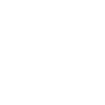 requirement-icon